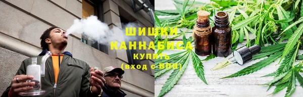 Альфа ПВП Бородино