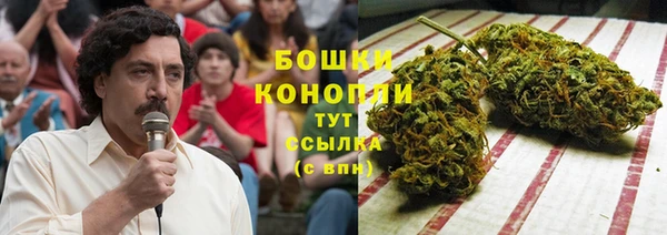 Альфа ПВП Бородино
