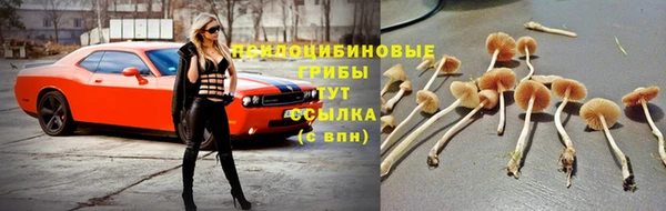 дживик Богданович
