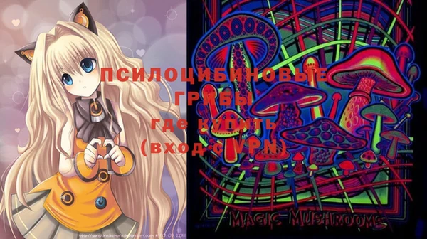 дживик Богданович