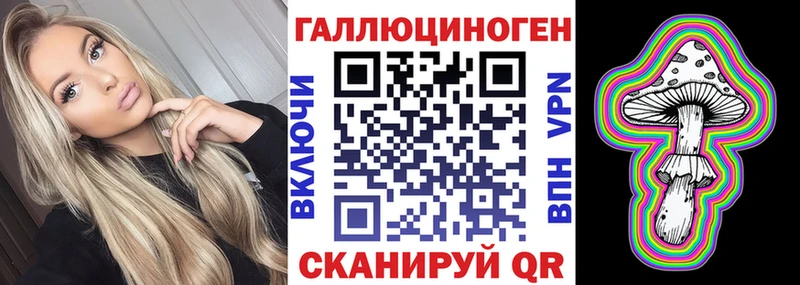наркошоп  Борзя  Псилоцибиновые грибы Psilocybe 