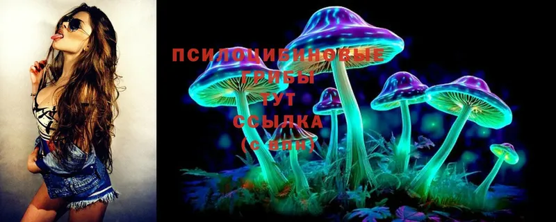 Псилоцибиновые грибы Psilocybine cubensis  как найти закладки  Борзя 