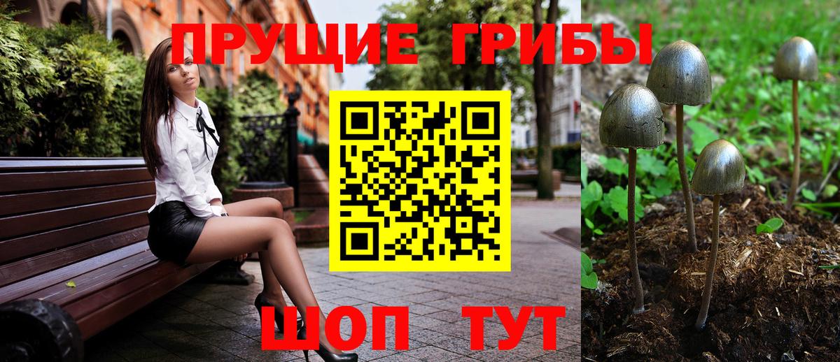 Борзя  Псилоцибиновые грибы ЛСД  Вход с VPN  Псилоцибиновые грибы мицелий 