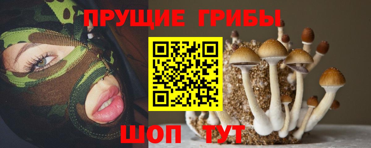 Псилоцибиновые грибы ЛСД  Борзя  Галлюциногенные грибы GOLDEN TEACHER 