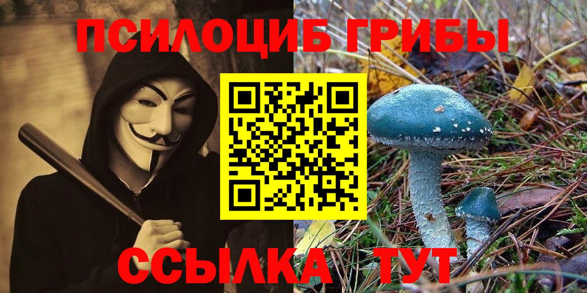 Псилоцибиновые грибы ЛСД Борзя